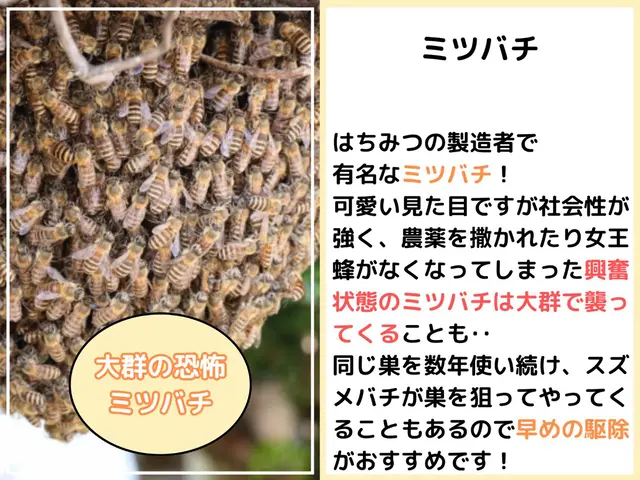 ◆9年間で1000件以上の実績◆大手経験者による確実な仕上がりをお約束◉サービスの画像