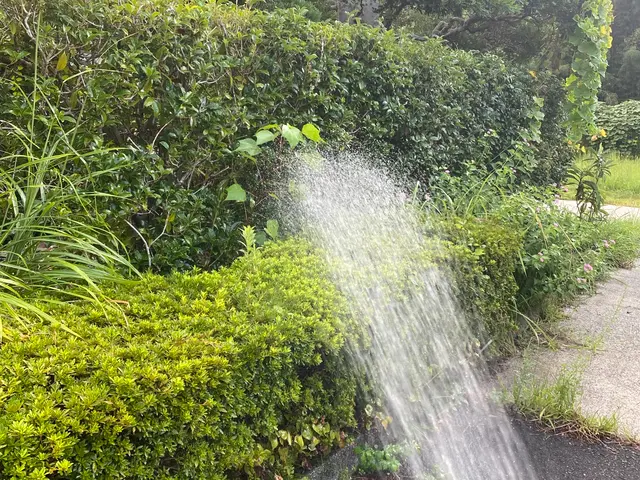 サポートサービスKizunaにお任せ！丁寧に仕上げます！サービスの画像