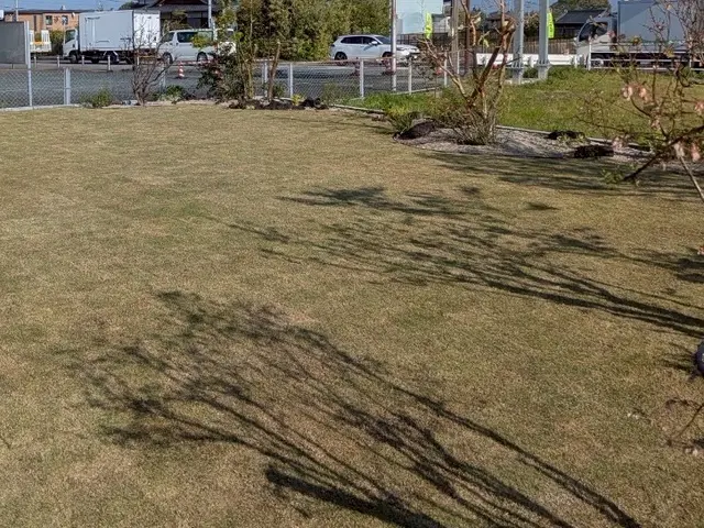 ☆日曜日限定価格☆日本一を受賞した造園屋を経て独立。確かな技術！サービスの画像