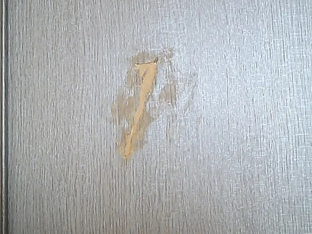 他業種の経験を活かした対応！専門研修済みの確かな技術でお住まいを美しく蘇らせますサービスの画像