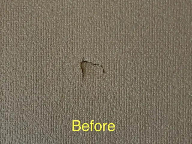 石膏ボード壁の穴補修サービスの画像