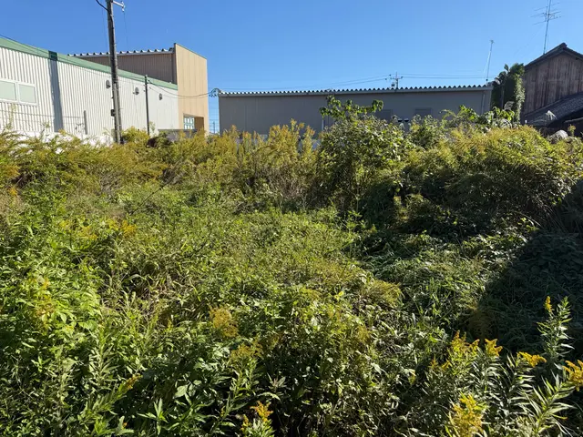 草刈り専門屋フォールリバー☆口コミで比べて下さい♪空家〜広大な空地までサービスの画像