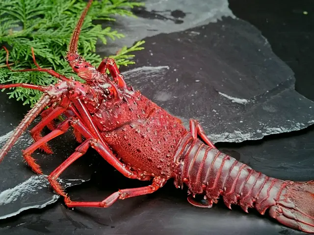 【地域密着】豊富な経験と知識で安心！！大切な一瞬を逃しません！