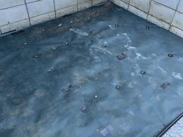 彩ガーデンの福田と申します！お庭まわりの事なら何でもご相談下さい。無料見積もり！サービスの画像