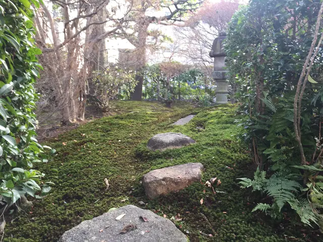 【実績15年以上】一級造園技能士も保有で丁寧な施工   ゴミ代込なのでお値打ち！サービスの画像