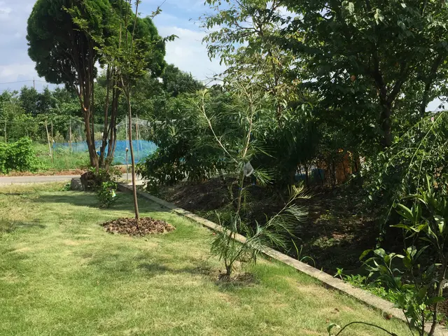 【実績15年以上】一級造園技能士も保有で丁寧な施工   ゴミ代込なのでお値打ち！サービスの画像