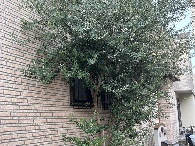 茨木市から伺います！作業外注なし、すべて自社で対応！損害保険加入済みサービスの画像