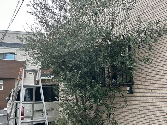 茨木市から伺います！作業外注なし、すべて自社で対応！損害保険加入済みサービスの画像