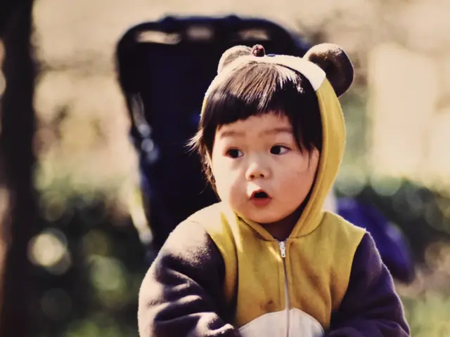 空から海まで！国内外で実績38年のカメラマンが美しい世界をお届けいたします。サービスの画像