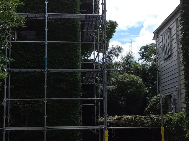 蔦の除去並びに処分サービスの画像