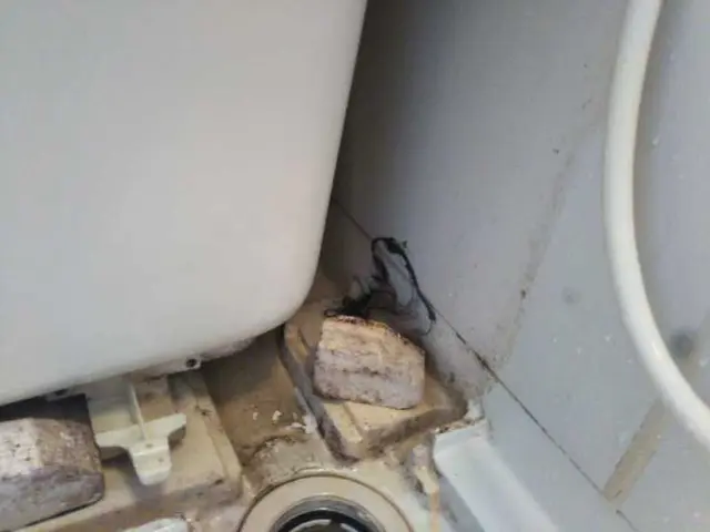 【女性スタッフ対応可能◎P代お店負担！】エコ洗剤可能でお子様・ペットも安心♪サービスの画像