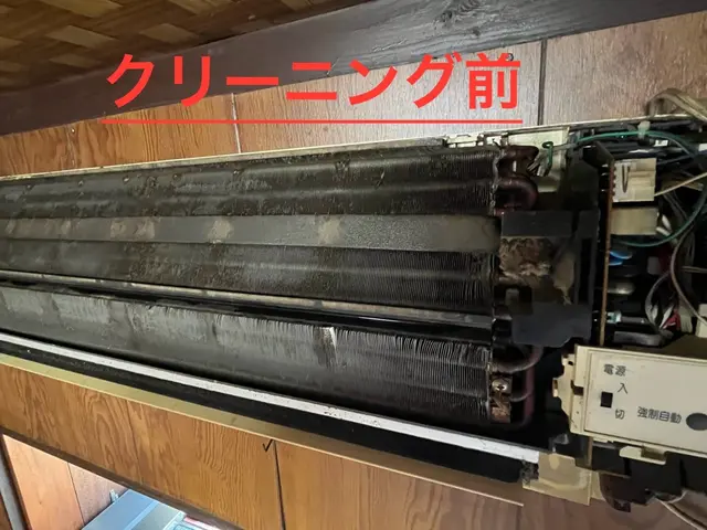 洗剤不使用のツインマイクロバブル洗浄！アレルギーが出る方・お子様・ペットも安心◎サービスの画像