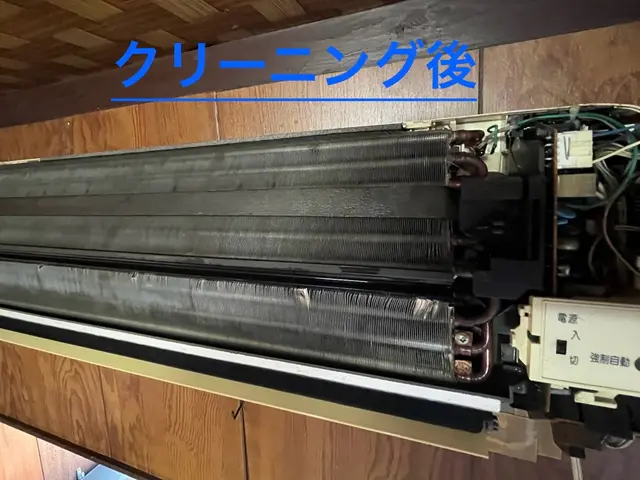 洗剤不使用のツインマイクロバブル洗浄！アレルギーが出る方・お子様・ペットも安心◎サービスの画像