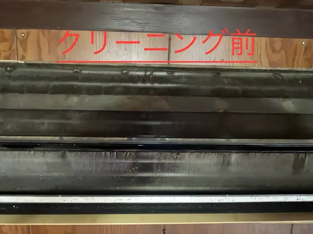 洗剤不使用のツインマイクロバブル洗浄！アレルギーが出る方・お子様・ペットも安心◎サービスの画像