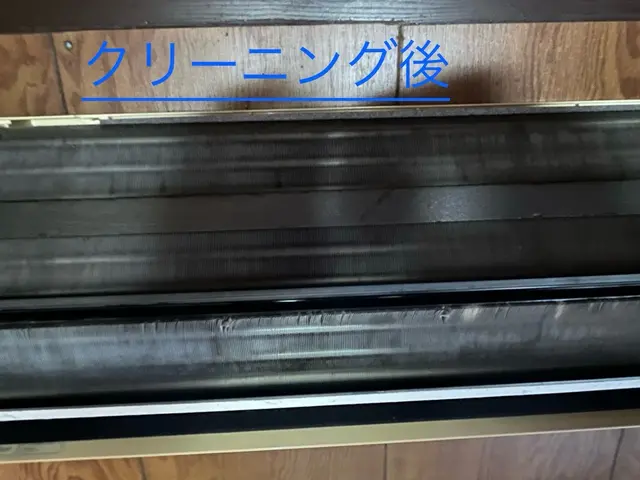 洗剤不使用のツインマイクロバブル洗浄！アレルギーが出る方・お子様・ペットも安心◎サービスの画像