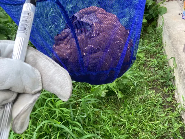 【即日対応】【実績多数】【１年保証有り】蜂の巣駆除から予防までお任せ下さい！サービスの画像