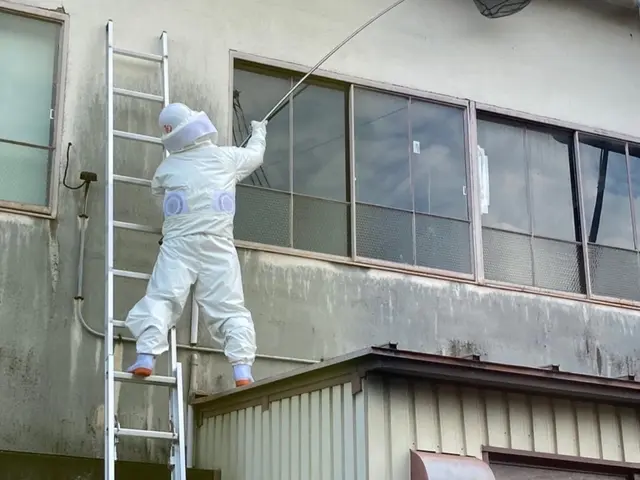 【即日対応】【実績多数】【１年保証有り】蜂の巣駆除から予防までお任せ下さい！サービスの画像