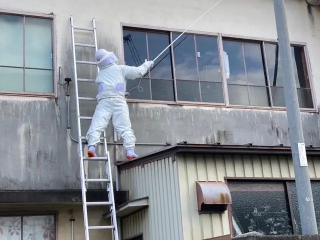 【即日対応】【実績多数】【１年保証有り】蜂の巣駆除から予防までお任せ下さい！サービスの画像