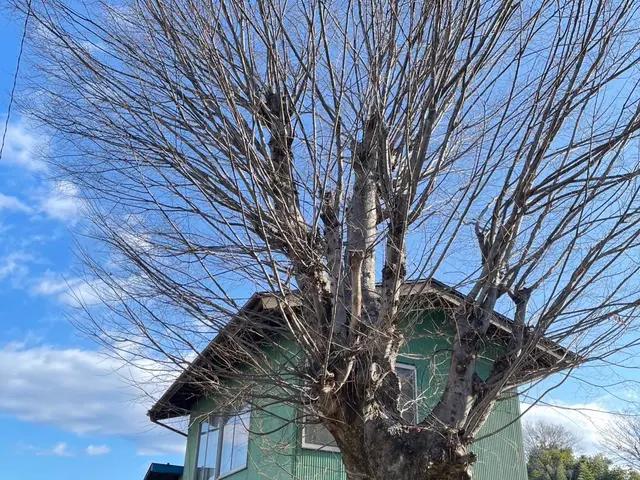 ※22年間の実績です。【本物の適正価格】◎即日お見積提示可です◇サービスの画像