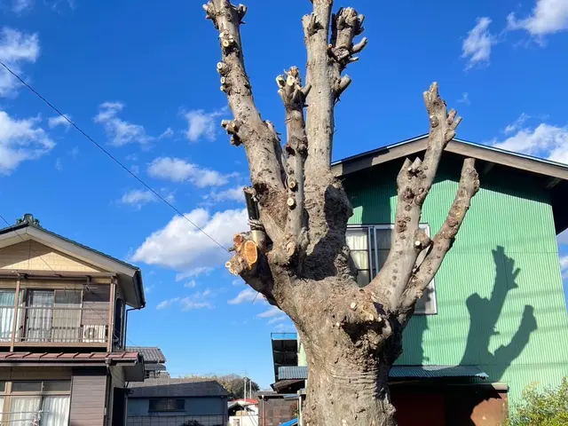 ※22年間の実績です。【本物の適正価格】◎即日お見積提示可です◇サービスの画像