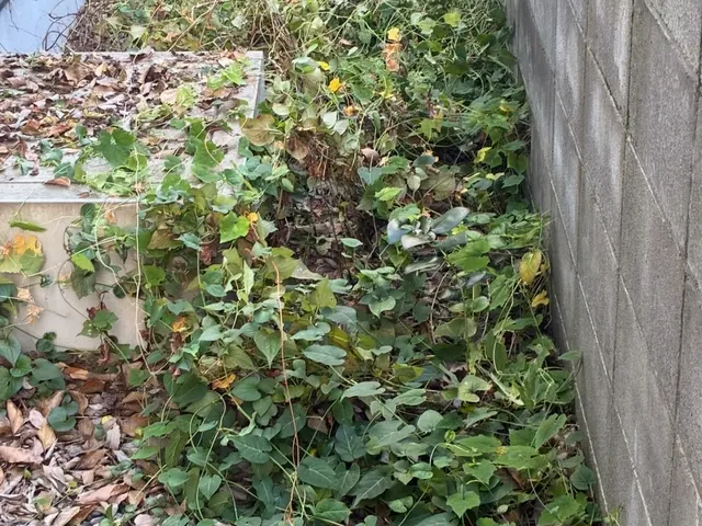 【年中無休・24時間対応】店長が必ず伺う◎損保加入☆広い敷地も斜面もお任せサービスの画像