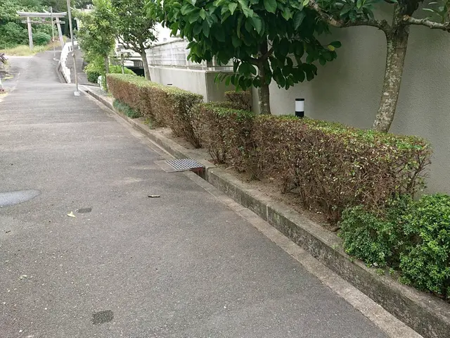 お客様の理想の形に仕上げられるよう精一杯努力いたします！ サービスの画像