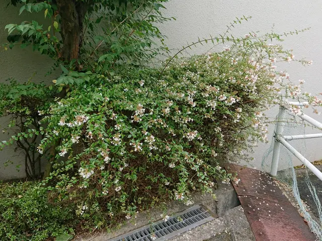 お客様の理想の形に仕上げられるよう精一杯努力いたします！ サービスの画像