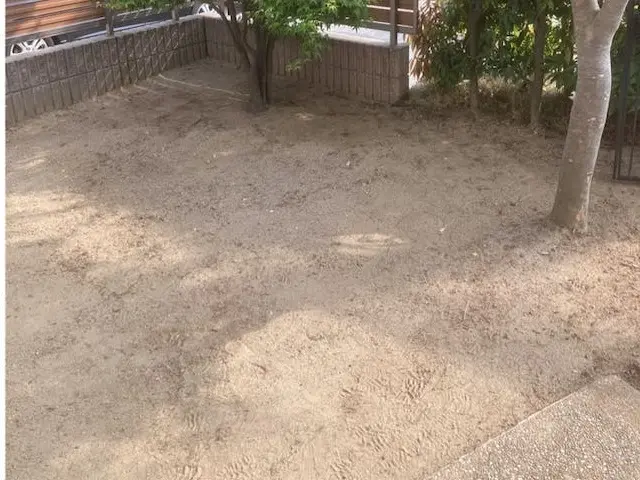 落ち葉清掃サービスの画像