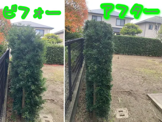 落ち葉清掃サービスの画像