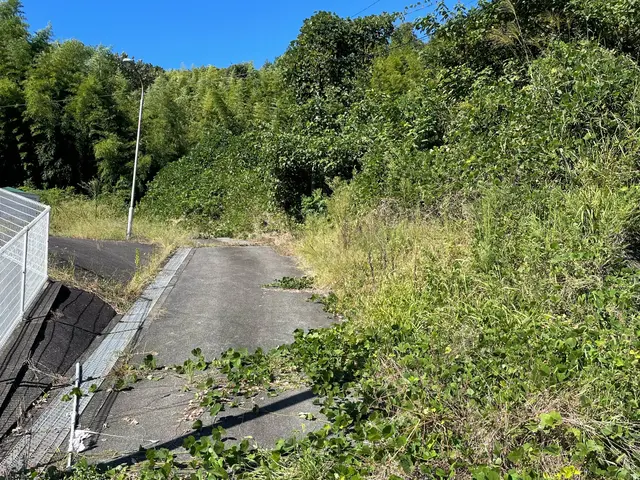 【刈りにくい場所まで丁寧に！】対応地域以外も対応可能！サービスの画像