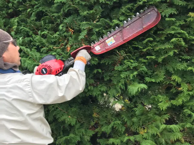 【15年の実績】植物と環境を考え刈込。女性スタッフ同行可能です！サービスの画像