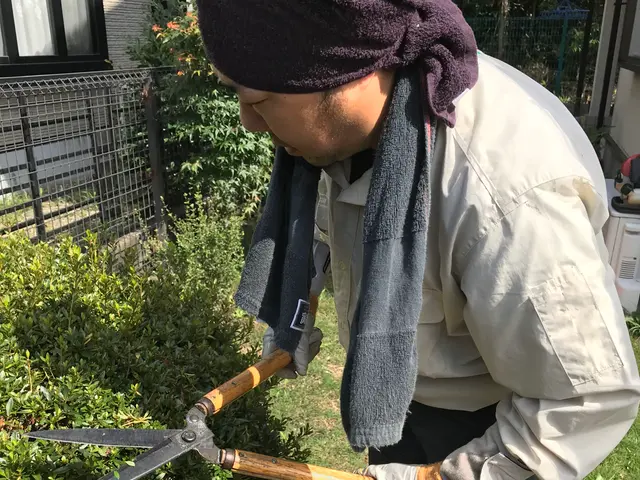 【15年の実績】植物と環境を考え刈込。女性スタッフ同行可能です！サービスの画像