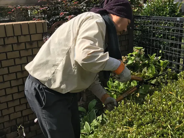 【15年の実績】植物と環境を考え刈込。女性スタッフ同行可能です！サービスの画像