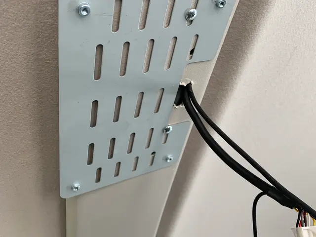 フリップダウンモニターの取り付けサービスの画像