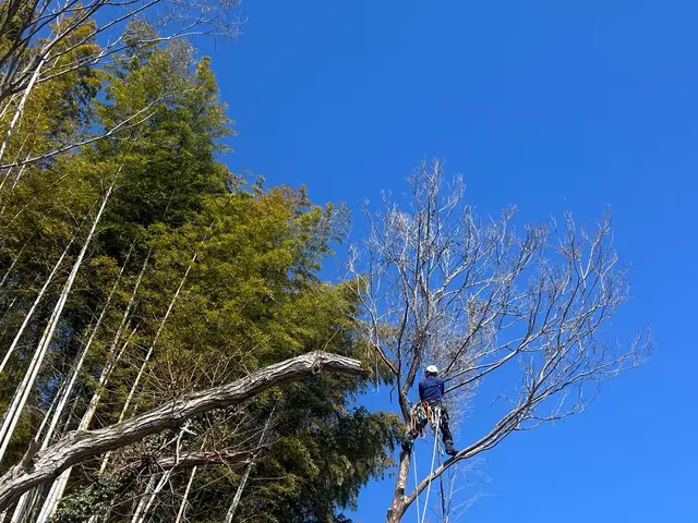 ＜年中無休＞お庭のお手入れおまかせ下さい！実績豊富なスタッフがお伺いします◎サービスの画像