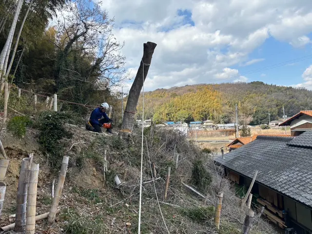 ＜年中無休＞お庭のお手入れおまかせ下さい！実績豊富なスタッフがお伺いします◎サービスの画像