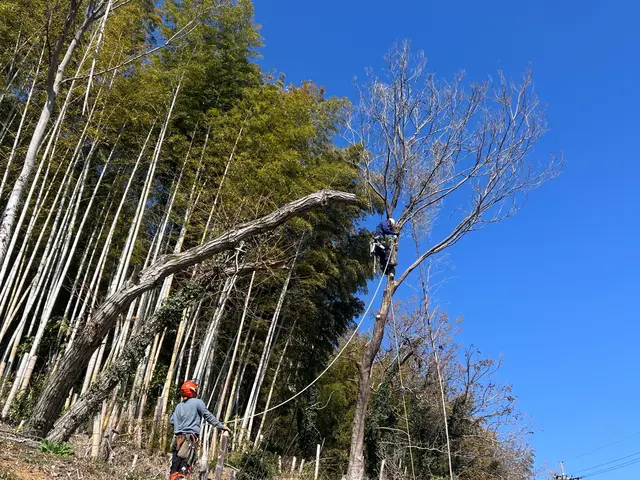 ＜年中無休＞お庭のお手入れおまかせ下さい！実績豊富なスタッフがお伺いします◎サービスの画像