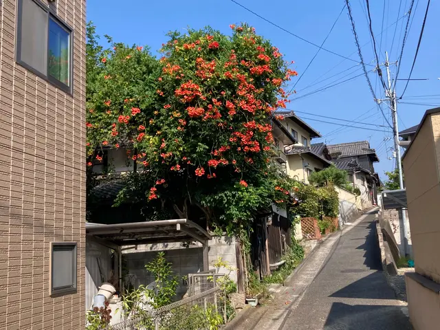 ＜年中無休＞お庭のお手入れおまかせ下さい！実績豊富なスタッフがお伺いします◎サービスの画像