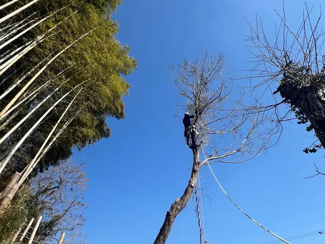 ＜年中無休＞お庭のお手入れおまかせ下さい！実績豊富なスタッフがお伺いします◎サービスの画像