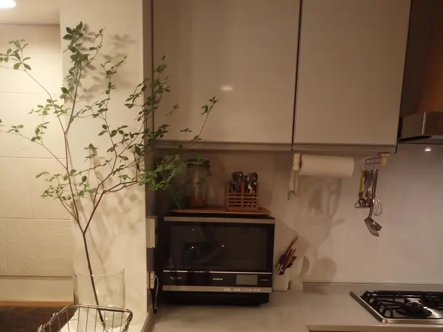 【子育て応援お片付け】整理収納アドバイザー/片づく仕組み/思考も整理/配置見直しサービスの画像