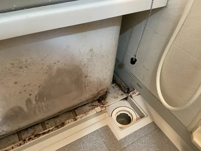 【お風呂清掃】エプロン内部も作業します！浴槽・壁・床・扉・鏡等の汚れを綺麗に！サービスの画像