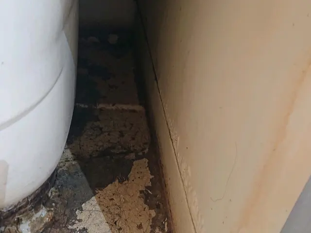 【業歴30年の経験実績！】女性スタッフ同行OK！プロの美装屋    水回り３点サービスの画像