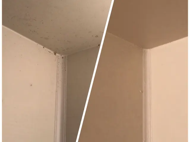 《女性スタッフの同行OK》営業時間外のご予約についてもご相談・対応可能です！サービスの画像