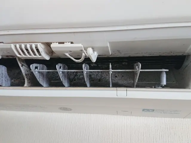 《古くても大丈夫》汚れに対応したエコ洗剤と強力洗浄剤を併用し汚れとカビを徹底除去サービスの画像