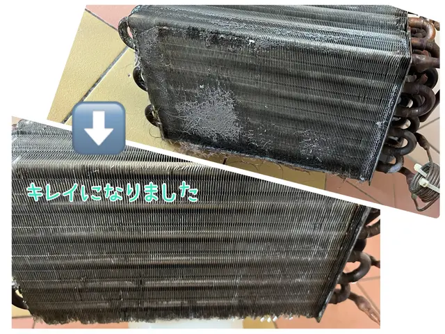 ＼独自の洗浄技術＋除菌仕上／ふわっふわ感触の復活＋笑顔を！【パナソニック製…他】サービスの画像