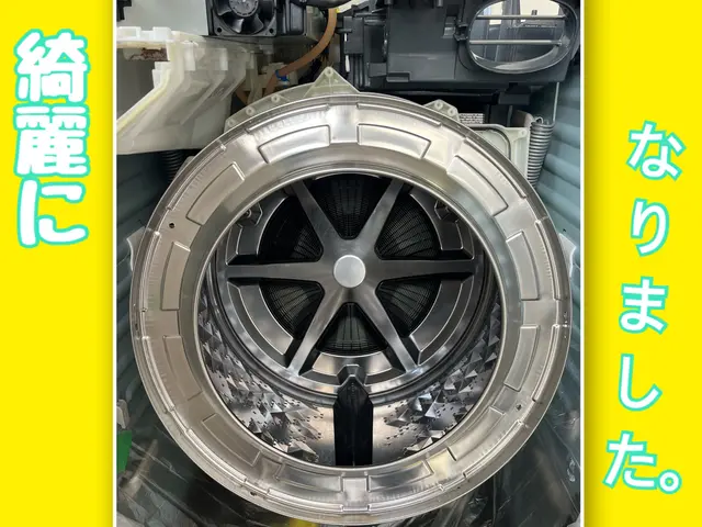 ＼独自の洗浄技術＋除菌仕上／ふわっふわ感触の復活＋笑顔を！【パナソニック製…他】サービスの画像