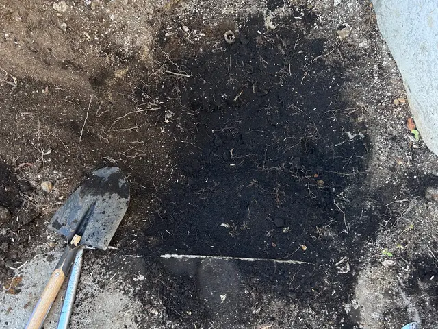 野田市発！【庭木の伐採致します】営業時間外・対応地域外もご相談可能◎サービスの画像