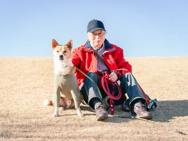 【期間限定口コミ特価】一生の思い出に！大切なペットのベストな可愛い瞬間を、写真に