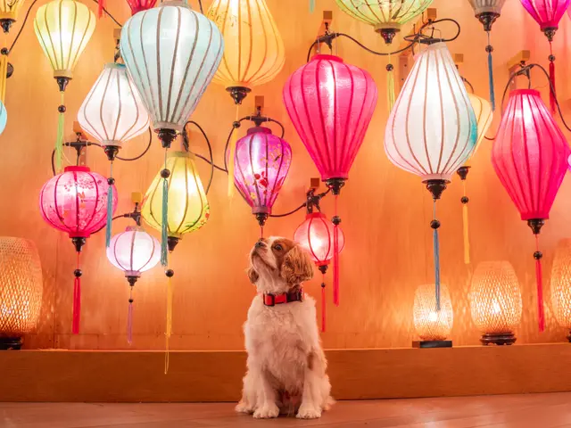 【先着3件口コミ特価】ペットのベストな可愛い瞬間を写真に収めます