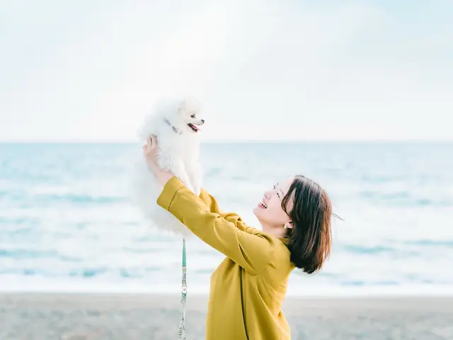 【期間限定特価】一生の思い出に！大切なペットの最高に可愛い瞬間を、写真に収めます